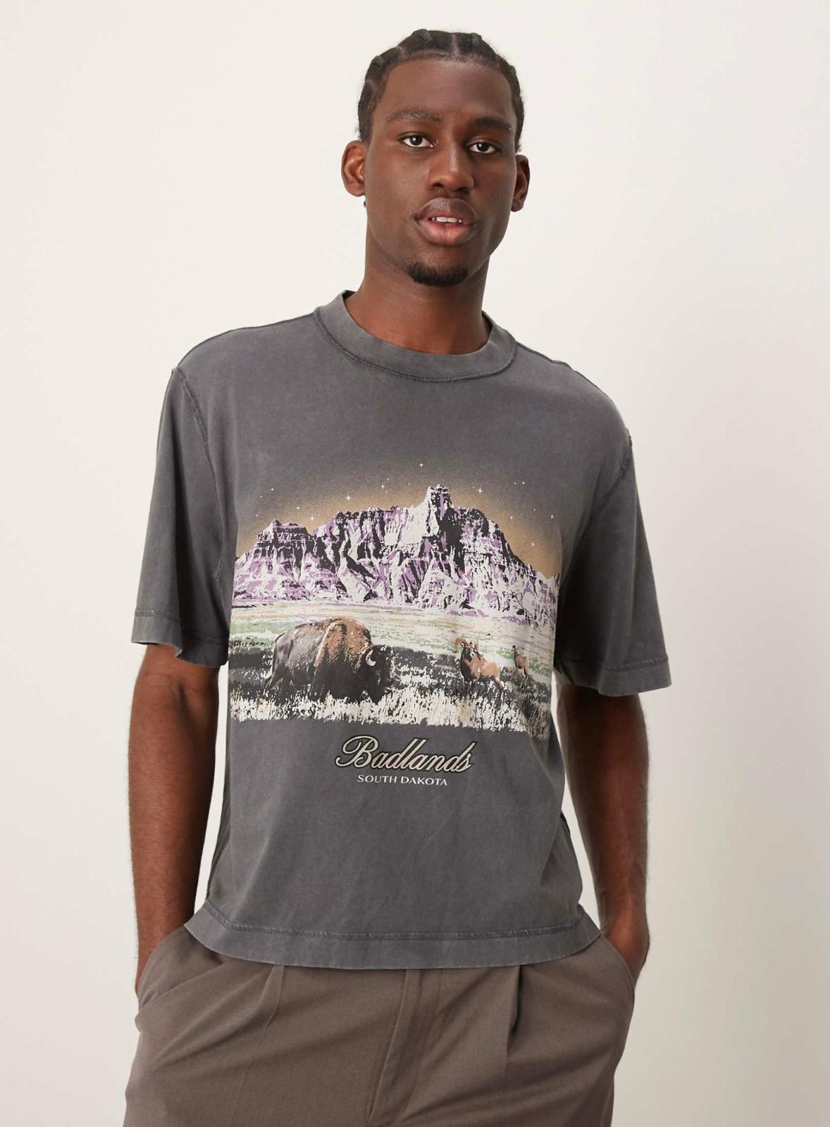 Abercrombie & Fitch National Parks Badlands print acid wash crop t-shirt in charcoal