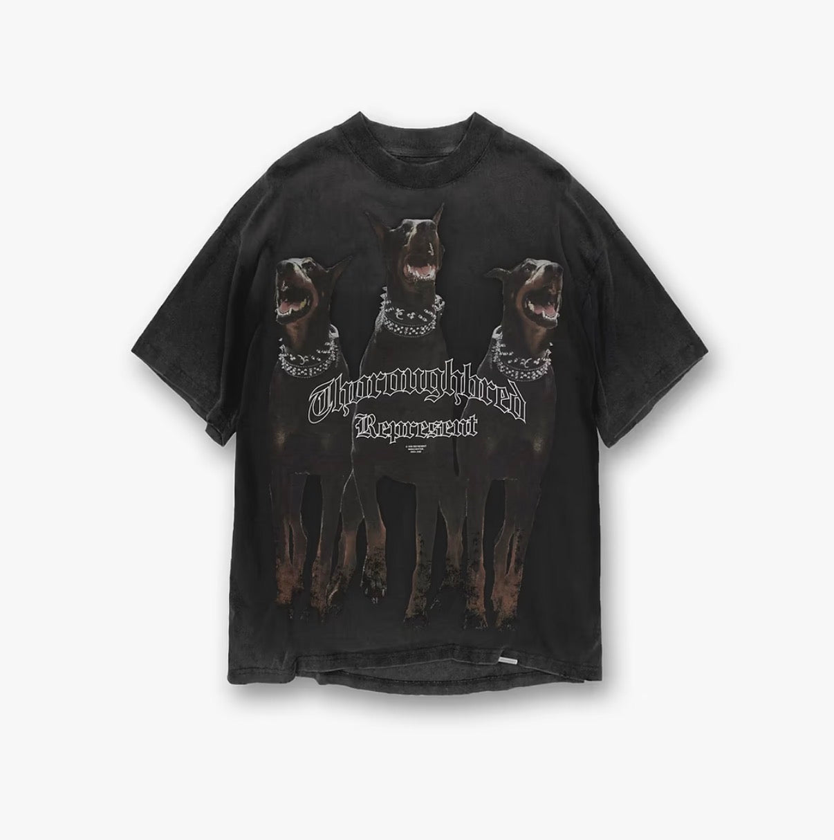 Represent Thoroughbred T-Shirt - Vintage Black