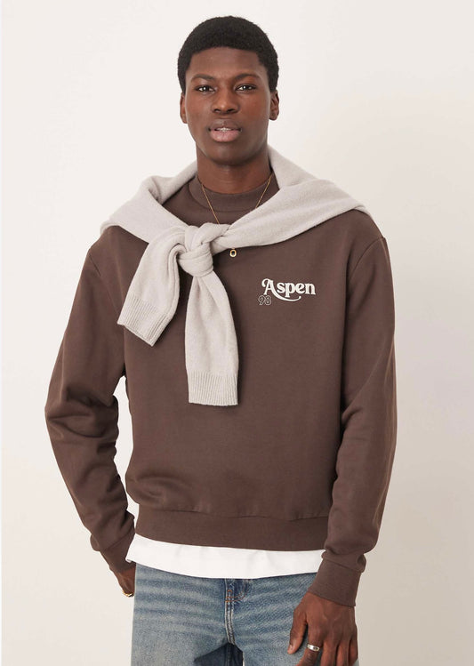 ASOS DESIGN boxy sweatshirt with scenic print in brown