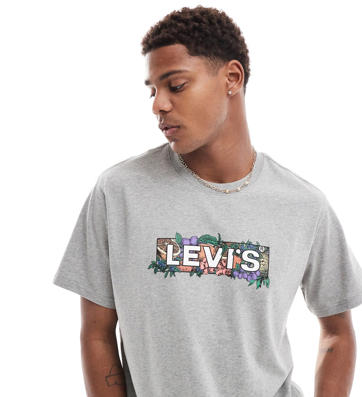 Levi's colour fruit boxtab logo relaxed fit t-shirt in grey marl