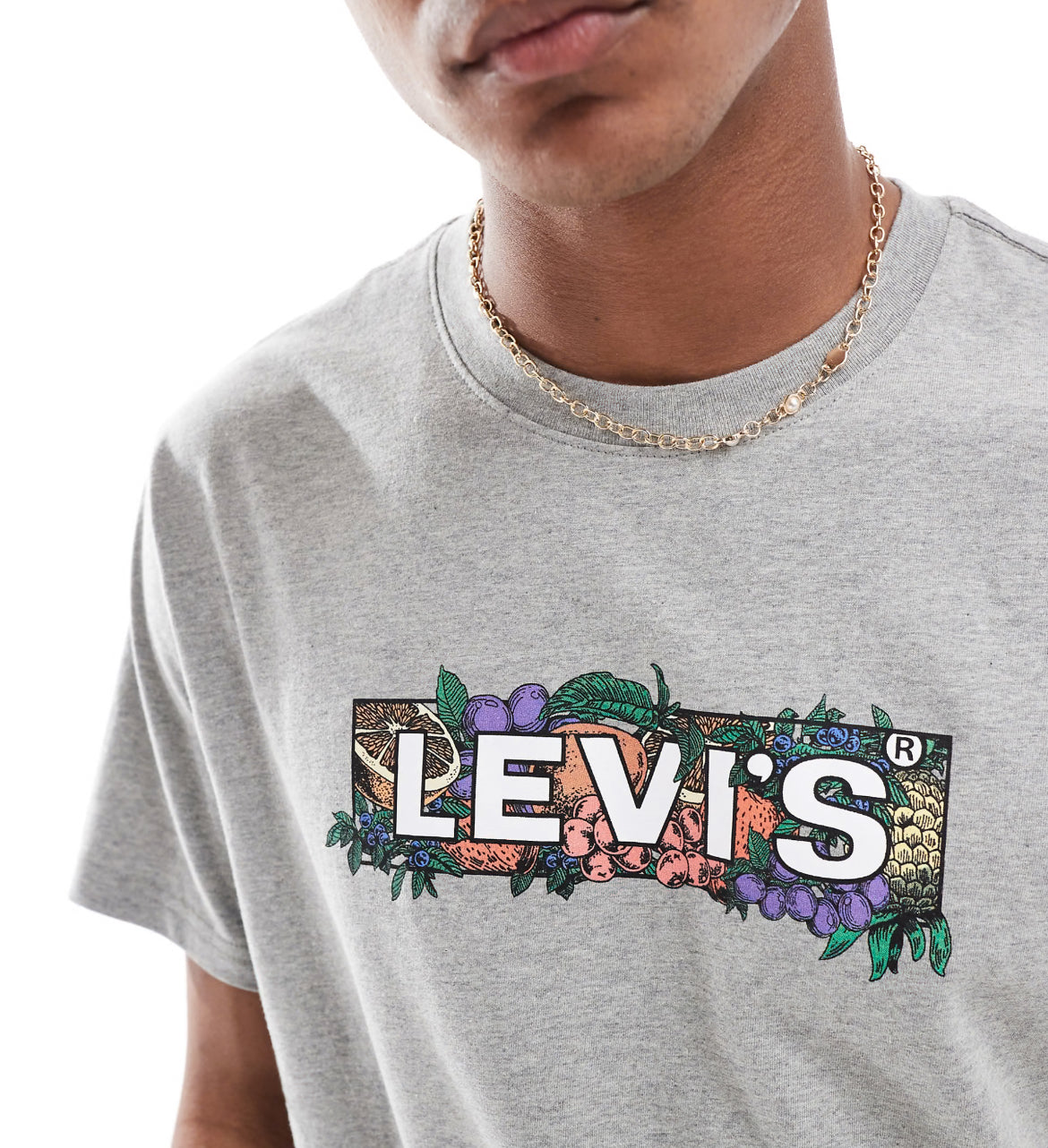 Levi's colour fruit boxtab logo relaxed fit t-shirt in grey marl