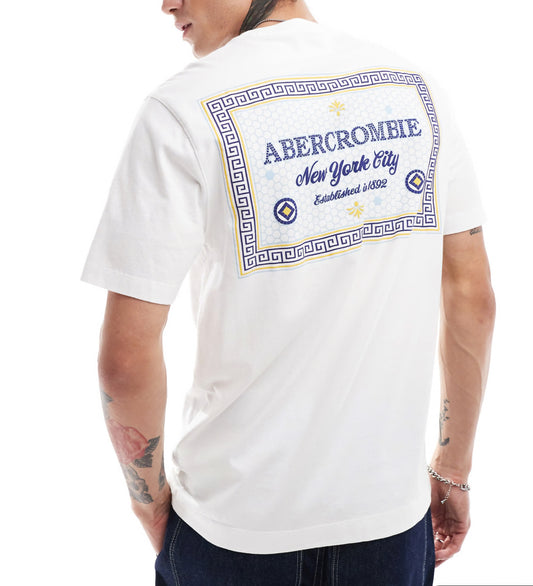 Abercrombie & Fitch tile inspired logo centre and back print classic fit t-shirt in white